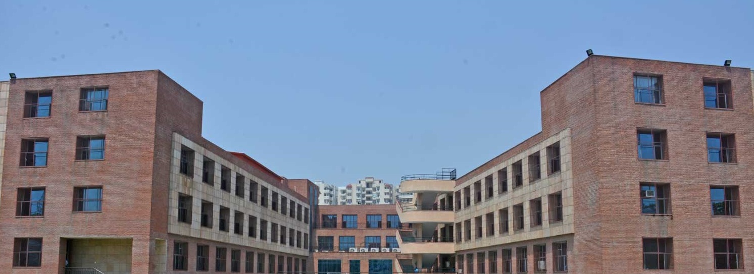 Amity International School